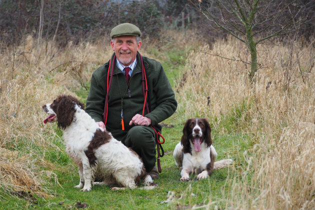 springer spaniels with owner 