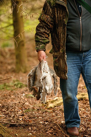 RSPB back predator cull to save the caper