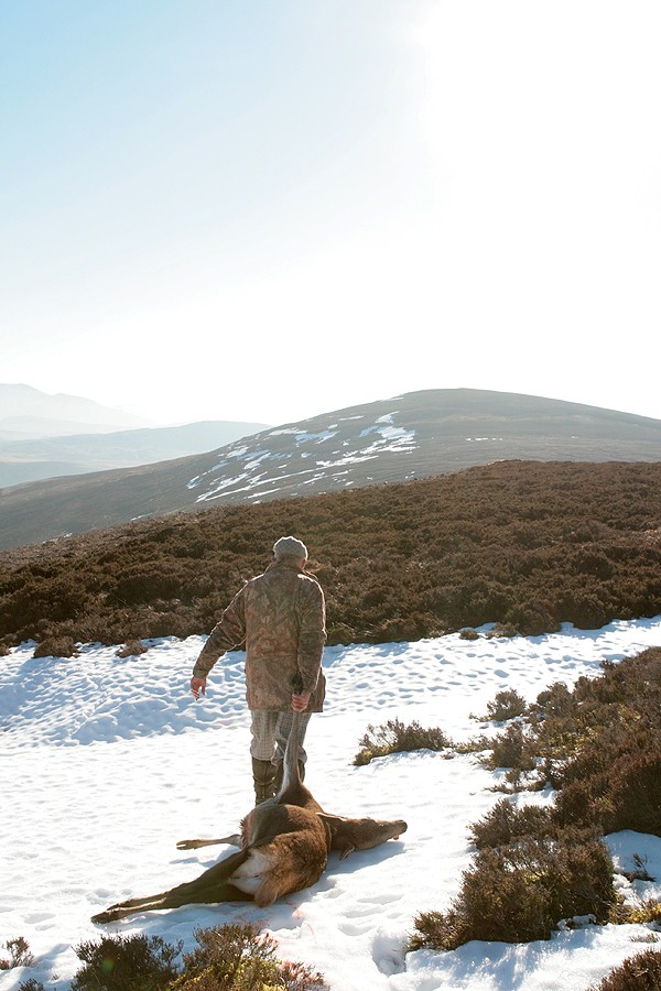 Cold snap takes its toll on fowl and fowlers