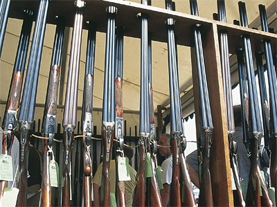 BASC submits firearms evidence to Parliament