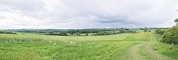 Stewardship: Scheme for success