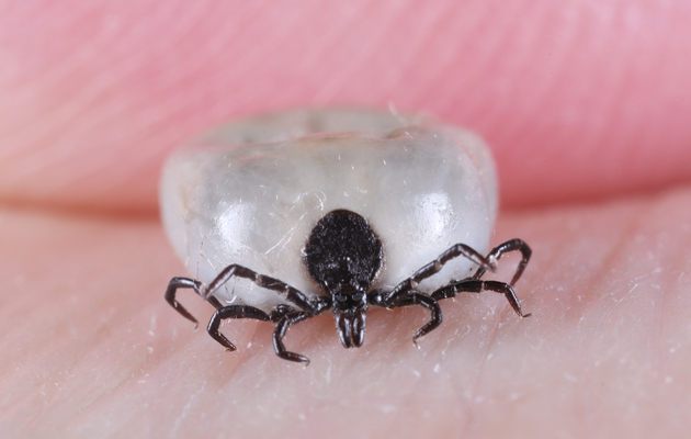 A tick-ing time bomb
