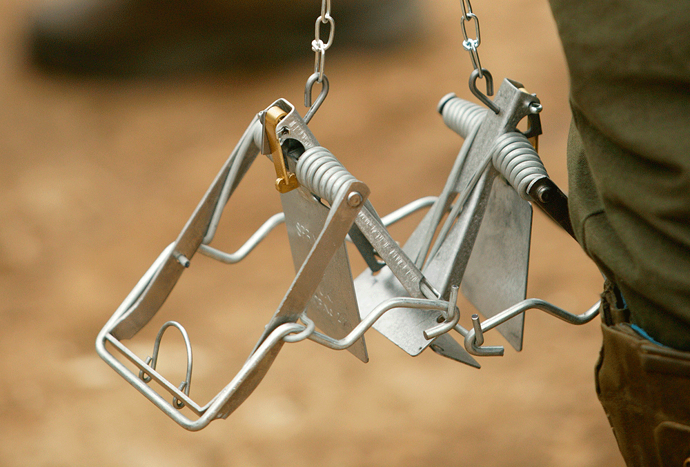 Gamekeeper guilty of recklessness with trap