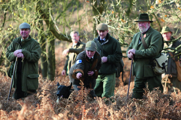trialling dogs 