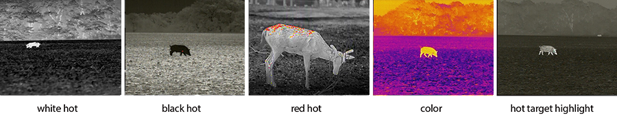 thermal imaging 