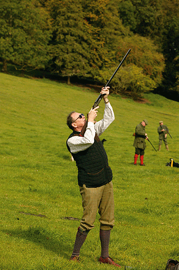 Partridge shooting in Wiltshire