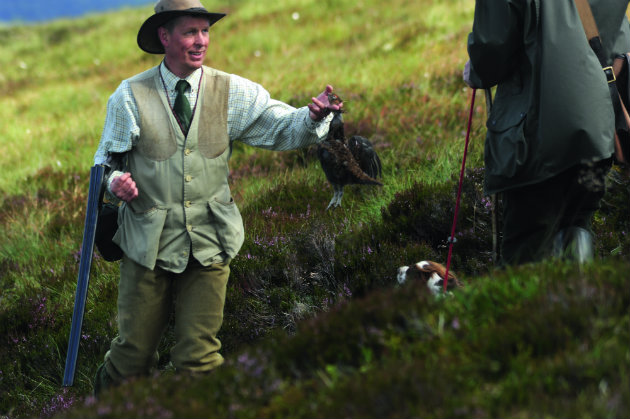 Fancy an affordable way of grouse shooting?