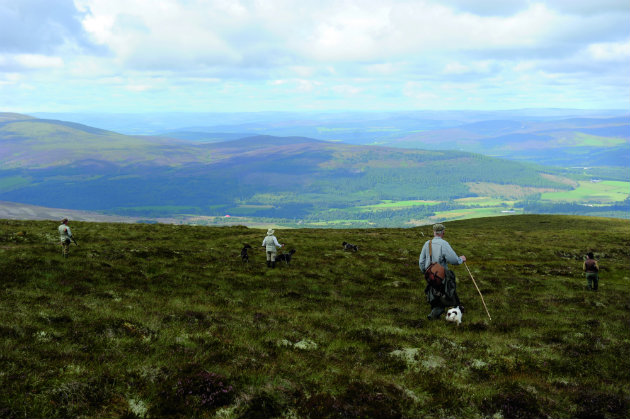 Walking in a line on grouse moor 