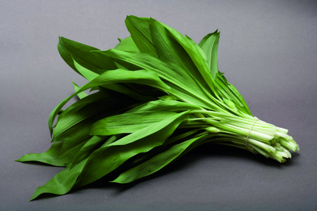 Wild garlic pesto
