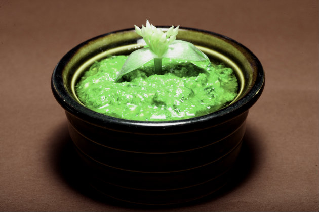 wild garlic pesto
