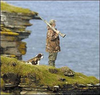 Scottish wildlife crime falls by 20 per cent
