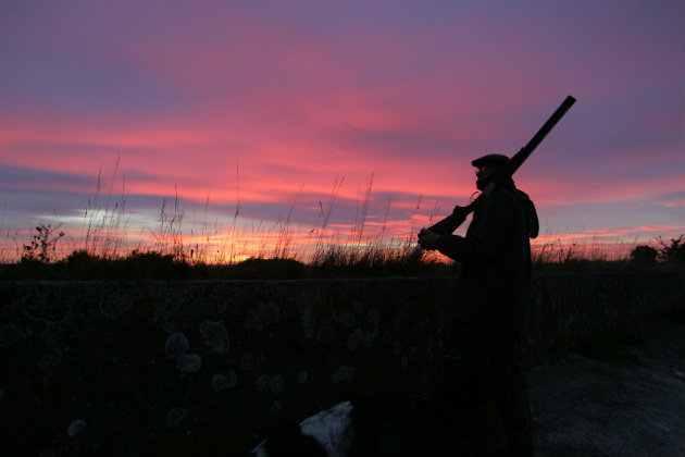 Wildfowling photographs of red sunset