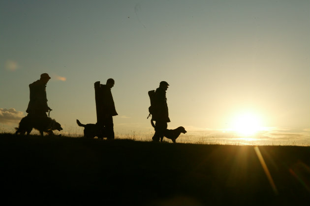 A week in wildfowling