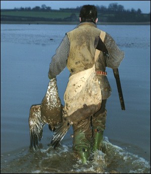 Somerset wildfowlers buy wetland