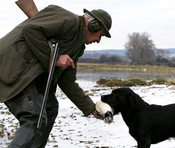 Is food for rewards during gundog training neccessary?