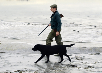 Can I take my five-shot semi-auto wildfowling?