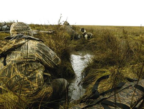 Plans that could have ended Welsh wildfowling revised