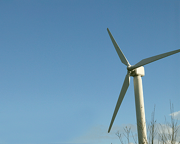 Reporting birds struck by turbines made easier by SNH