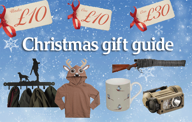Christmas gift guide
