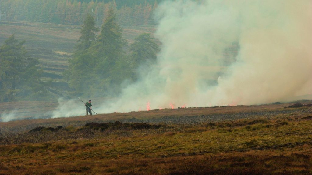 SGA wildfire proposal adopted in Cairngorms