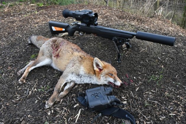 Three of the best new rimfires