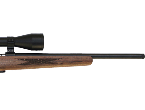 Anschutz rifle