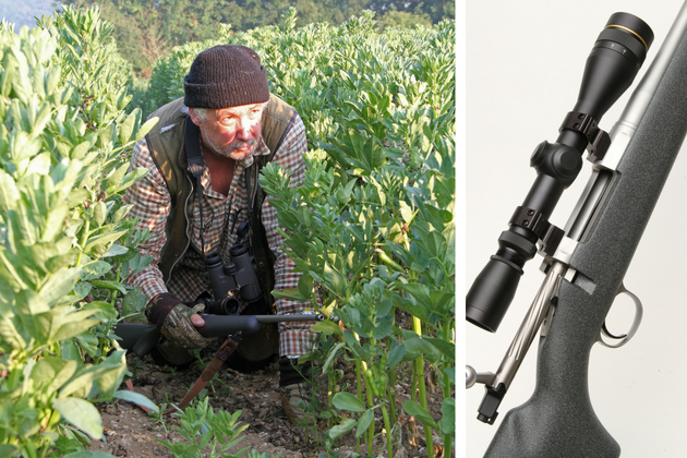 Barrett Fieldcraft Sporter rifle