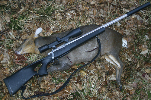  Custom built deer stalking rifle 