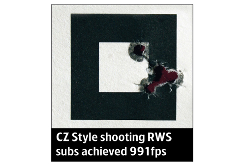 CZ style rifle 