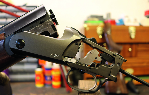 Blaser F16 &#8211; an all-round winner