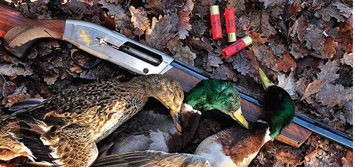 Browning Maxus semi-auto shotgun
