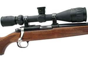 Ruger M77/22 rimfire sporter rifle review