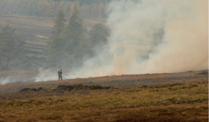 Hit pause on flawed rollout, urges BASC 