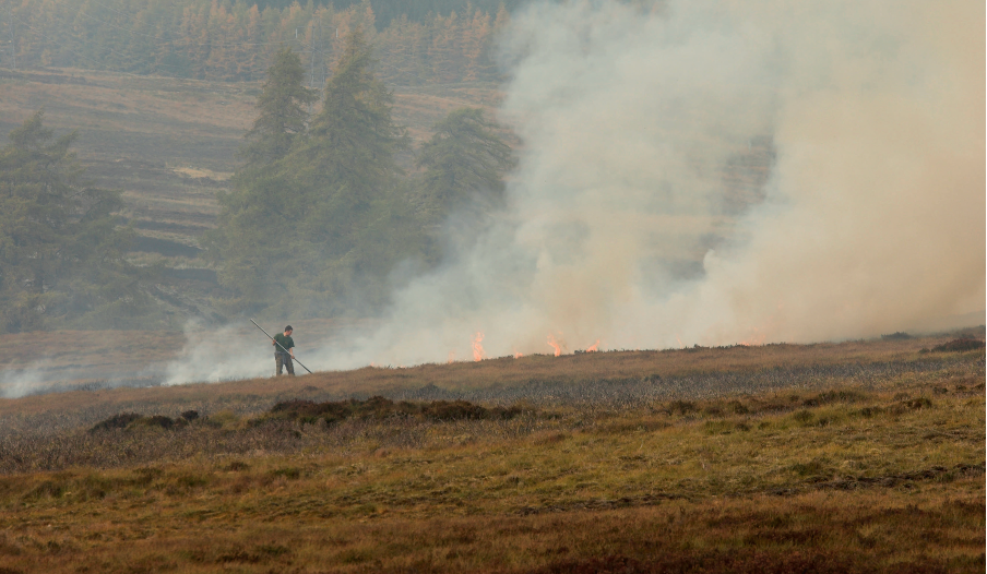 Hit pause on flawed rollout, urges BASC 