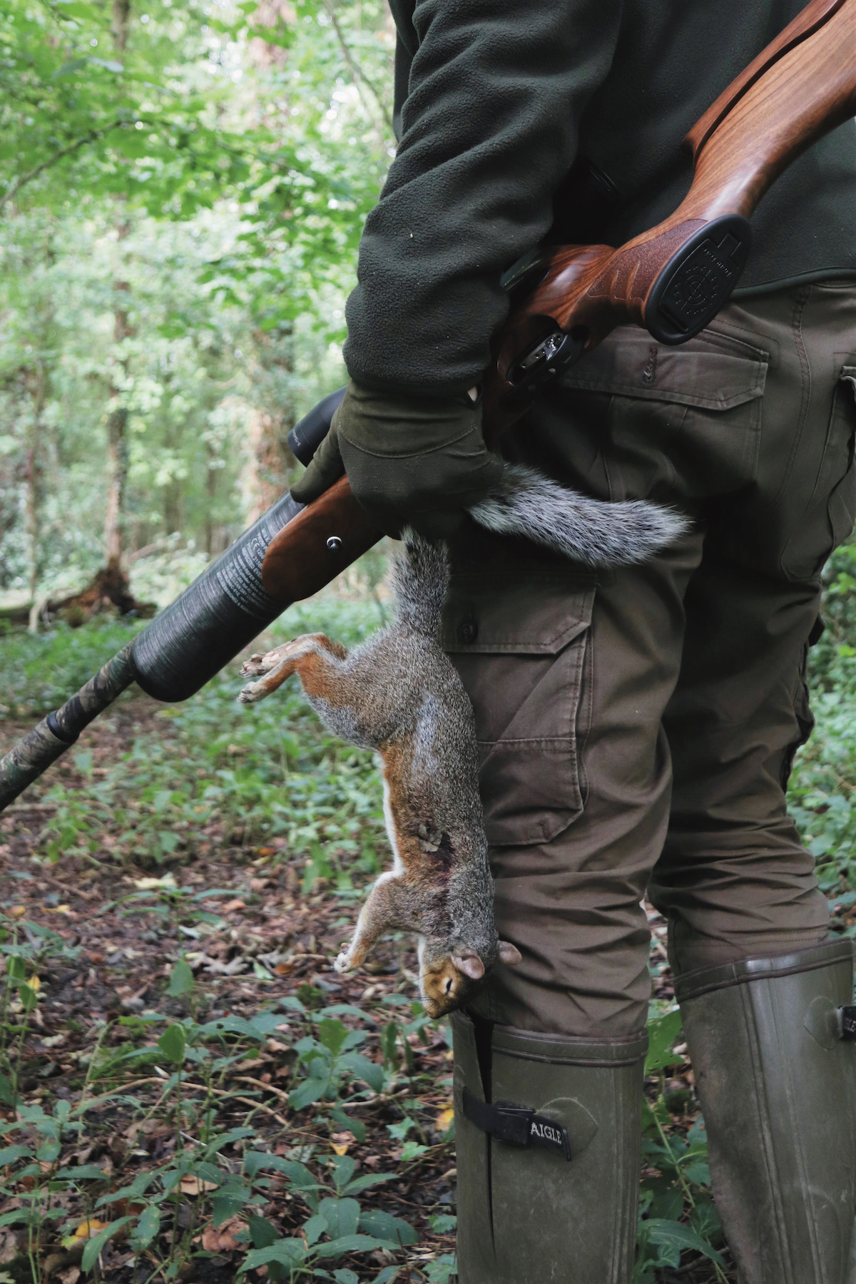 Squirrel hunter 