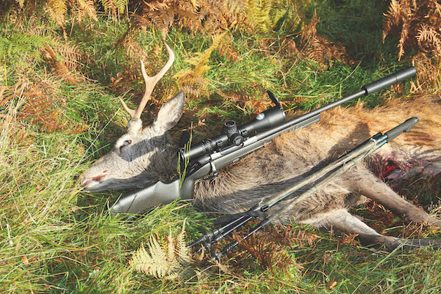 stag killed by rifle