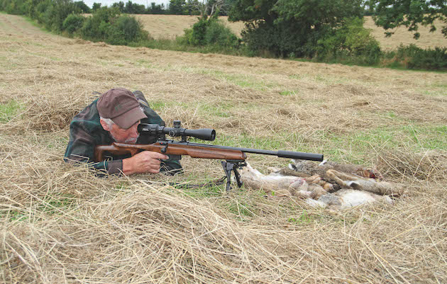 shooting rabbits with rifle 
