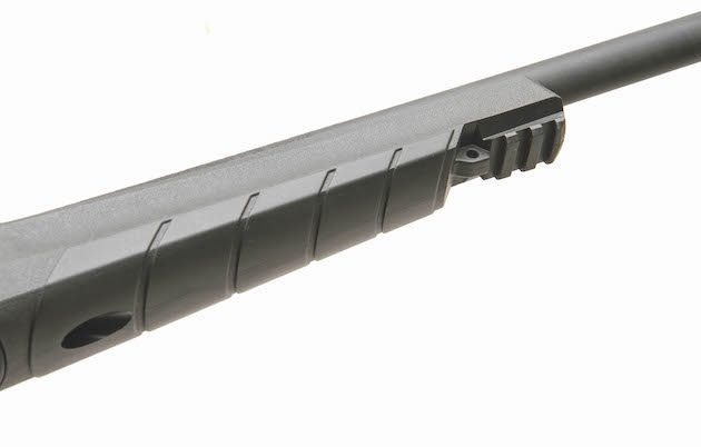 Rife forend