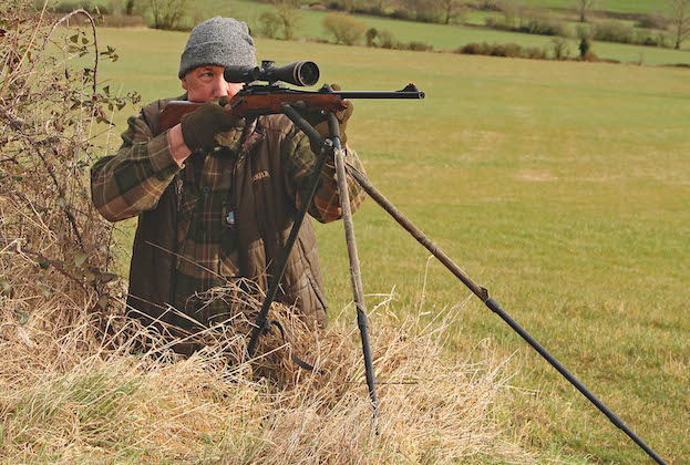 Haenel Jaeger 10 Timber model 