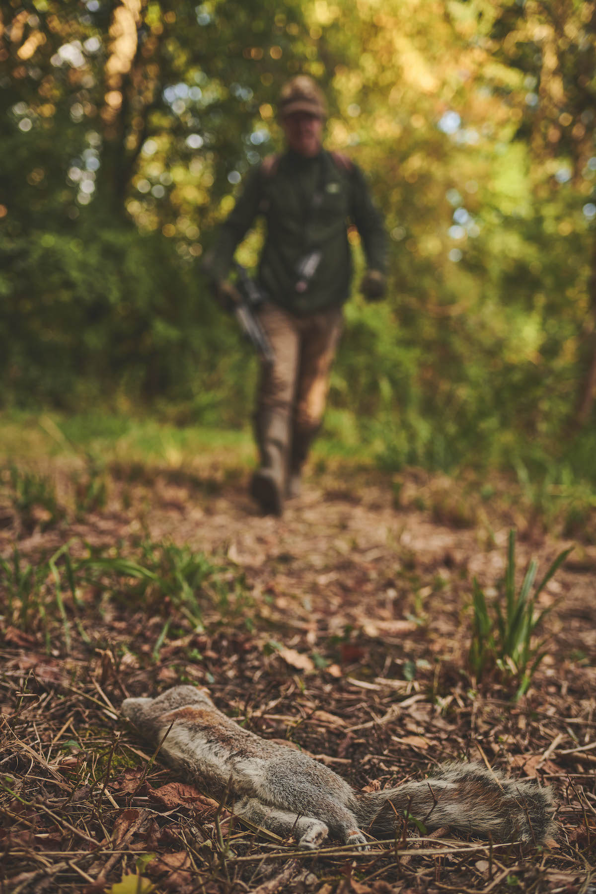squirrel hunting