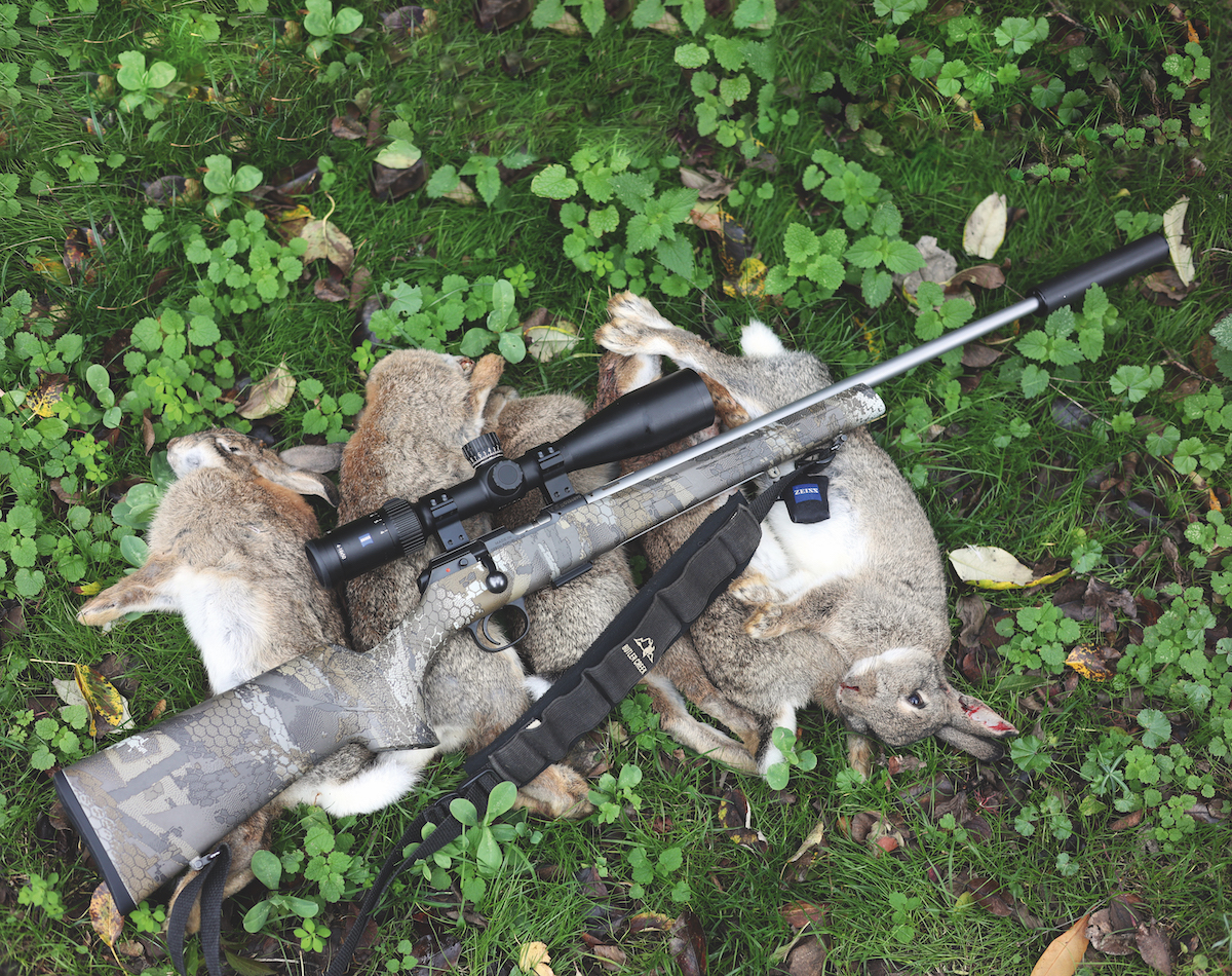 rifle with dead rabbits
