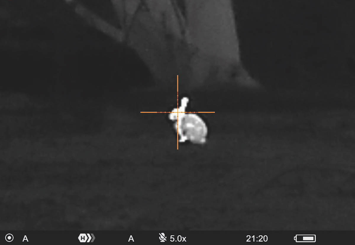 an extremely clear view of this rabbit's heat signature 