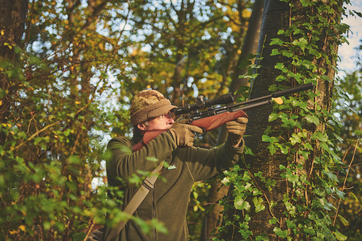 squirrel shooting with air rifle 