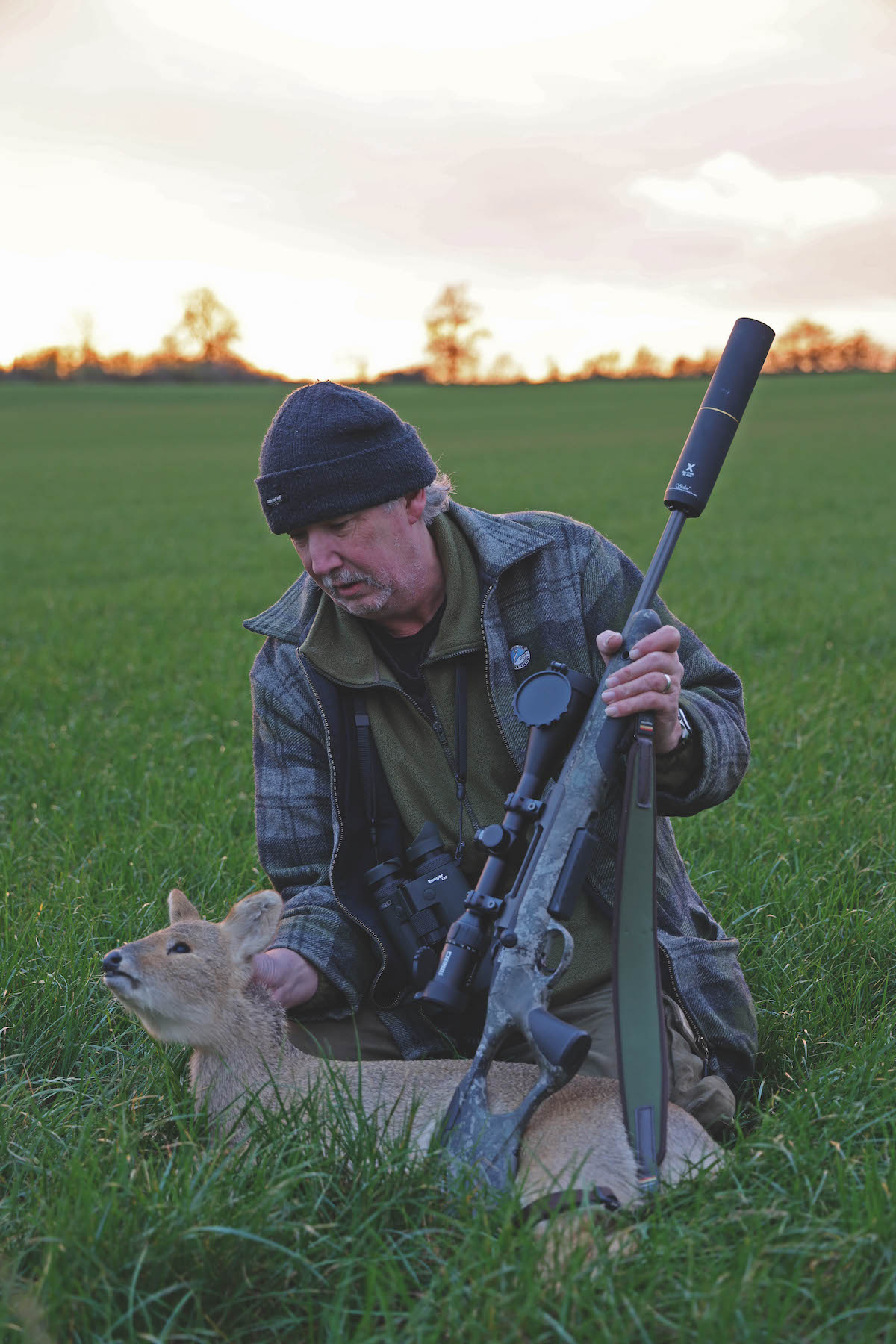 Chinese water deer 