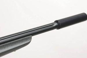 Ruger 10/22 Competition: it all comes together with this rifle