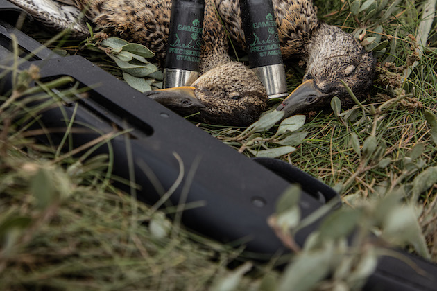 Mossberg 500 pump-action shotgun: an American classic