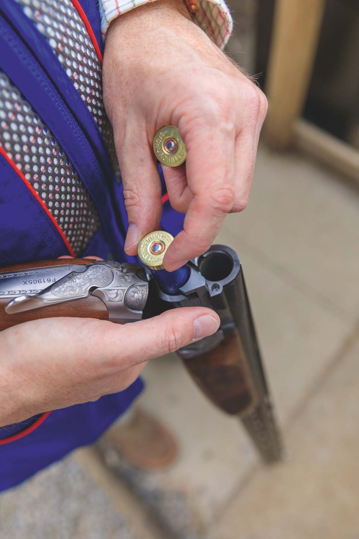 cartridges in shotgun