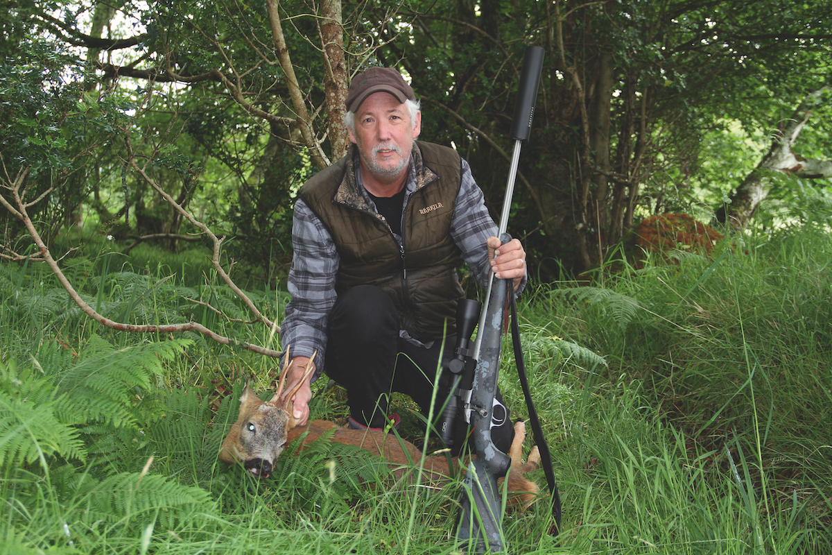 Deer stalking roebuck 