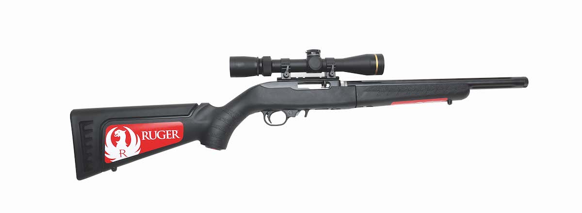 Ruger 10/22 Takedown rifle