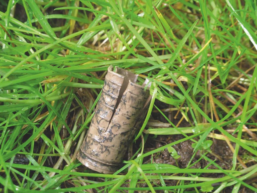 bio wad in grass